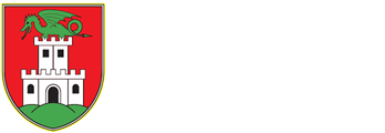 Mestna občina Ljubljana